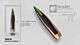 NOSLER BALLISTIC TIP 308